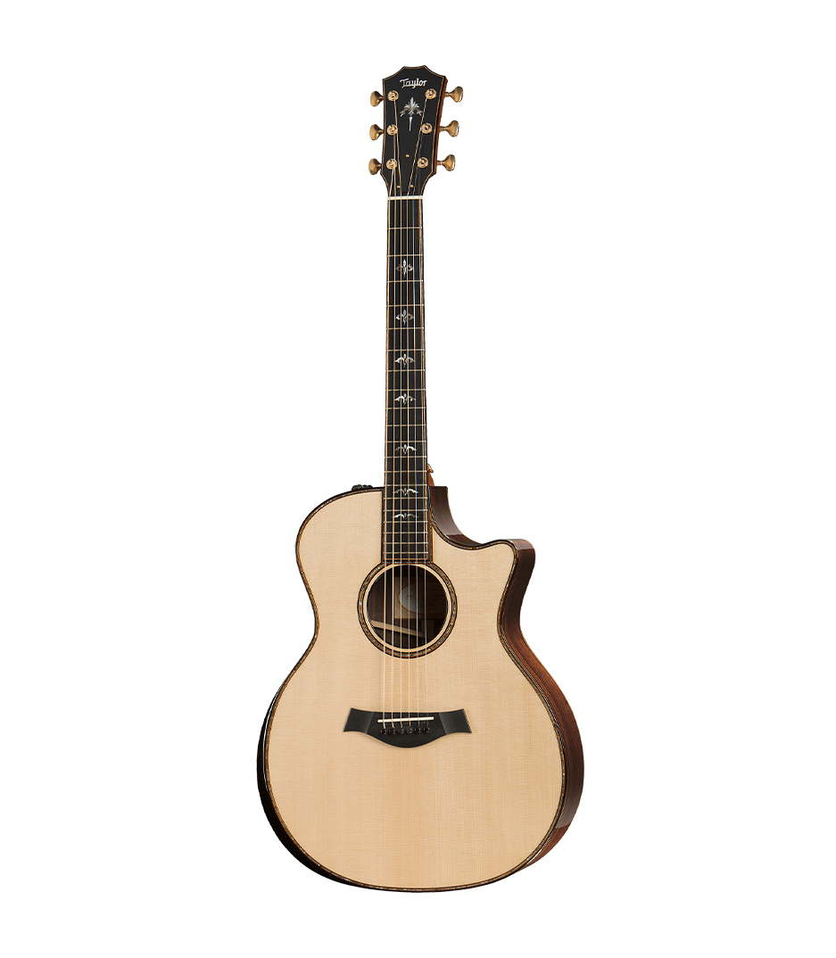 Taylor 914CE Electro Acoustic guitar 6 string steel string cutaway