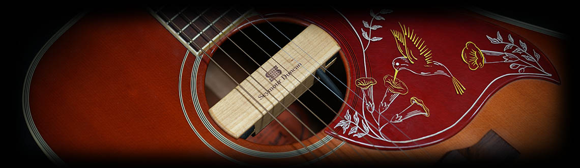 Backline Rentals Dubai - Electro Acoustic Guitars