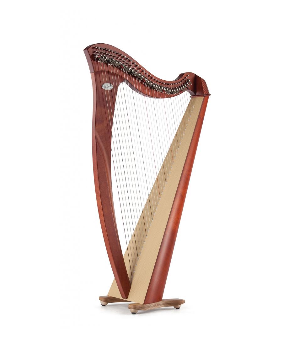 Salvi Mia Student Lever Harp